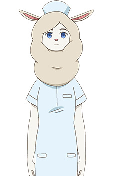 시라카와 미호